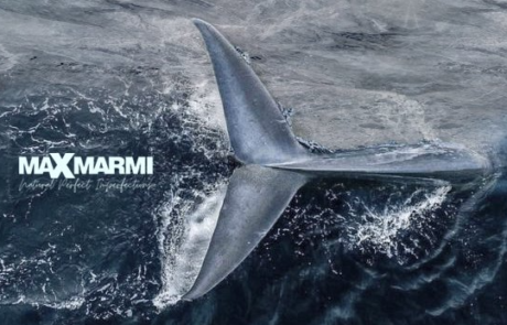 max marmi 05